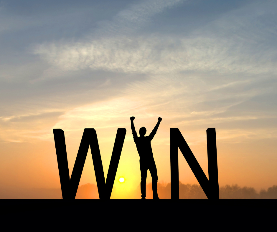 The Magic of Small Wins grafton standard size (10)