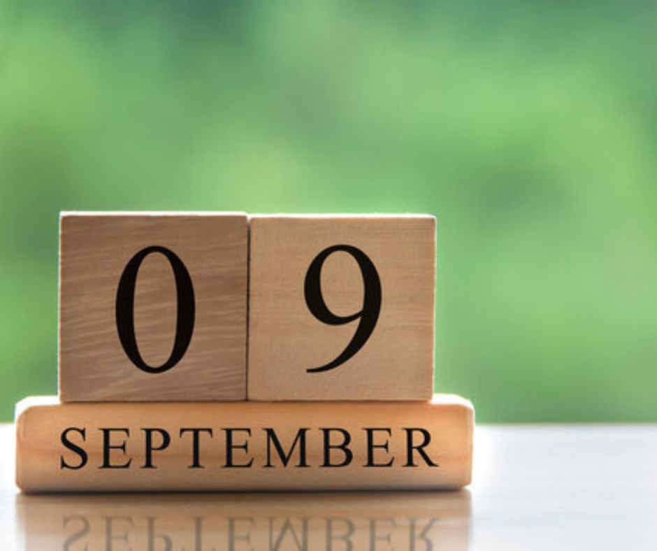 Where Did 2025 Go? grafton standard size