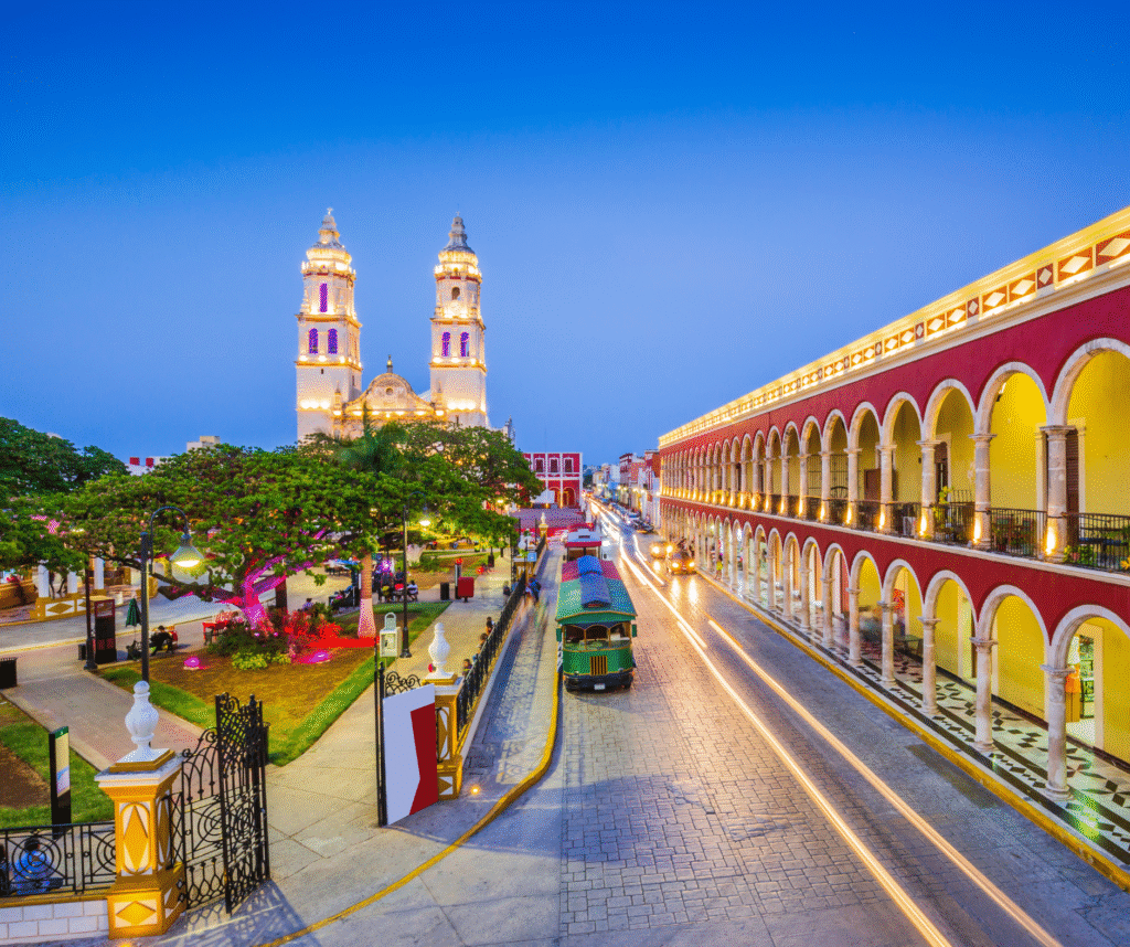 grafton standard size (56)